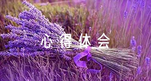 制定科学的篮球训练与休息计划_1